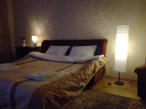 1 dormitorio con 1 cama con 2 almohadas y lámpara en Gloria park apartment, en Kiev