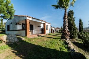 una casa con una palmera delante de ella en El Pueblo de Leo, en Badajoz