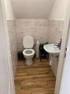 a bathroom with a toilet and a sink at U mě v domě 26 in Dubá