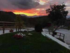 a sunset over a field with flowers in the grass at Agriturismo Terra Verde in Rotonda