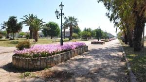 A garden outside Zoi Apartments