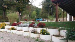 Aed väljaspool majutusasutust Apartmani Gmitrovic