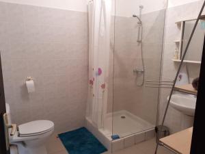 y baño con ducha, aseo y lavamanos. en Ti Vanillier, en Petit-Bourg