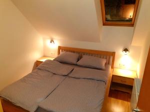 Postel nebo postele na pokoji v ubytování Apartma DA-LI SPORTS -ROGLA