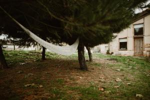 Zahrada ubytování Casa Rural el Cocodrilo