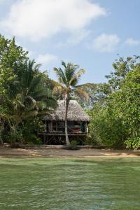 Gallery image of Al Natural Resort in Bocas del Toro