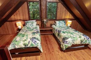 a attic room with two beds and two windows at The Canopy Rainforest Treehouses & Wildlife Sanctuary in Tarzali
