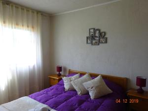 Alerce的住宿－Cabañas Troncos de Alerce en Puerto Montt con tinaja caliente，一间卧室配有一张紫色床和窗户