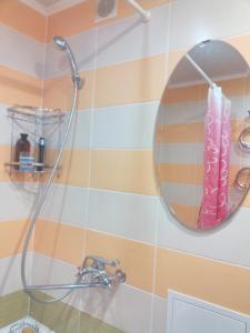 トムスクにあるКвартира в ЦЕНТРЕ на проспекте Ленинаのバスルーム(シャワー、壁に鏡付)