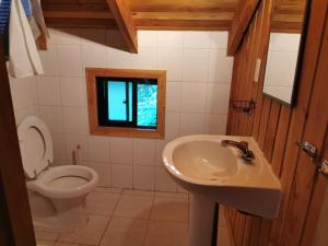 Ένα μπάνιο στο Cabaña Pudomo en Coñaripe con Hot-tub exclusivo +13 φωτογραφίες