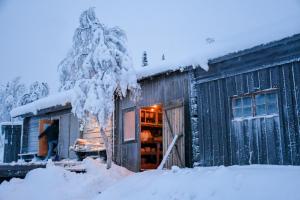 Arctic Paradise en invierno