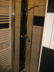 y baño con ducha y puerta de cristal. en jujuouragan, en Saint-Dié-des-Vosges