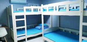 Palanda nebo palandy na pokoji v ubytování Blue Backpackers Hostel