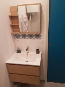 een badkamer met een wastafel en een spiegel bij Studio La Touvière in Évian-les-Bains +12 foto's