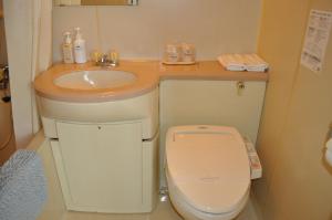 a small bathroom with a sink and a toilet at Green Hotel Rich Tokugawaen in Okazaki