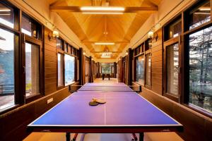 Stolní tenis v ubytování Zostel Homes Mashobra (Shimla) nebo okolí