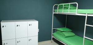 Palanda nebo palandy na pokoji v ubytování Blue Backpackers Hostel
