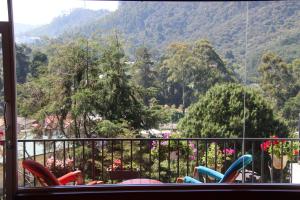 住宿加早餐旅馆周边自然景观