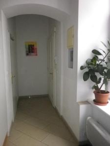 a hallway with a potted plant in a room at Apartment Dahlia Vienna in Vienna