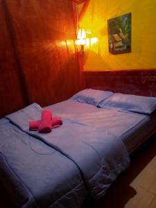 Gallery image of Tereng Wilis Jungle Inn in Tetebatu