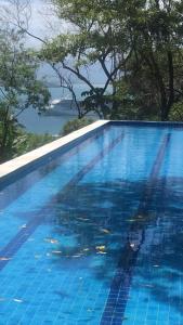 a blue swimming pool with a view of the water at Siriúba Reserve in Ilhabela
