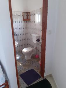 a bathroom with a toilet and a sink at Kinkiliba Beach Lodge in Sanyang