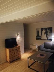 TV a/nebo společenská místnost v ubytování Foldvik Bryggeferie