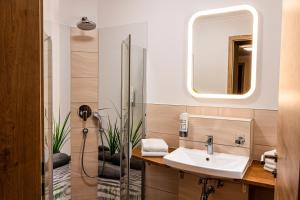 a bathroom with a sink and a mirror at Günzburg City in Günzburg