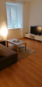 TV a/nebo společenská místnost v ubytování apartmán U Moravy