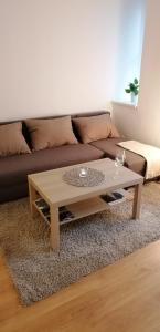 Afbeelding uit fotogalerij van apartmán U Moravy in Olomouc +12 foto's