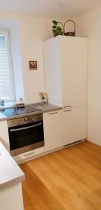 Kuchyň nebo kuchyňský kout v ubytování apartmán U Moravy