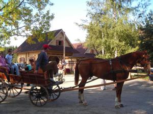 Fotografie z fotogalerie ubytování Hotel Ranč u Edyho v destinaci Námestovo