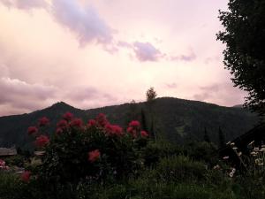 Pogled na planinu ili pogled na planinu iz pansiona sa uslugom doručka