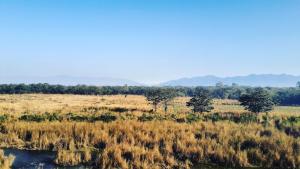 Gallery image of Royal Tiger Cottage in Bhurkīā