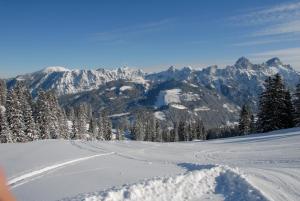 einen verschneiten Berg mit Bäumen und Bergen im Hintergrund in der Unterkunft Haus Pfauth in Tannheim