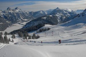 Fotografie z fotogalerie ubytování Haus Pfauth v destinaci Tannheim + 4 fotografie