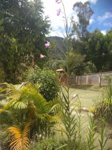 einen Garten mit vielen Pflanzen und Blumen in der Unterkunft CHALE e SUÍTE com Mimos Café Manhã in Lumiar