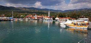a group of boats are docked in a harbor at Gonul Pansiyon in Kaleucagız