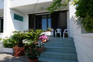 una casa con algunas plantas en las escaleras en Panorama Leukos, en Castrignano del Capo