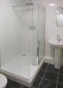 a bathroom with a shower and a toilet and a sink at Queens Head Inn in Monmouth