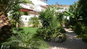 einen Garten mit Palmen und ein weißes Haus in der Unterkunft Marino apartment in Almuñécar