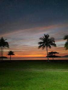 a group of palm trees in a field at sunset at Casa Indaiá BnB - casa compartilhada in Caraguatatuba