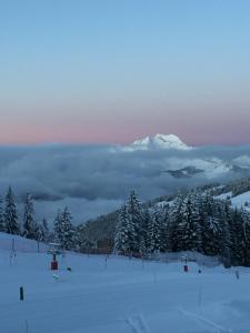 Avoriaz le M1212 v zimě