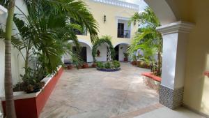 a courtyard with palm trees in a building at Hotel Casona Margot in Valladolid