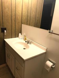 a bathroom with a sink and a mirror at The Aspen Cabin in Wilmington