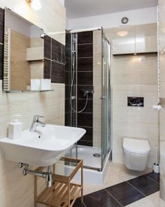 W łazience znajduje się umywalka, prysznic i toaleta. w obiekcie Villa Apia w mieście Piwniczna