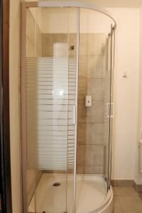 a glass shower in a bathroom with a toilet at Villa Kmeller in Lviv