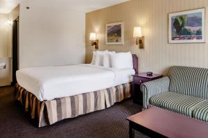 Postel nebo postele na pokoji v ubytování Americas Best Value Inn & Suites Ft Collins E at I-25