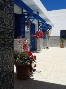 Φωτογραφία από το άλμπουμ του Dar El Goulli σε Hammam Sousse