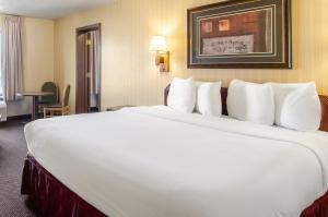 Postel nebo postele na pokoji v ubytování Americas Best Value Inn & Suites Ft Collins E at I-25